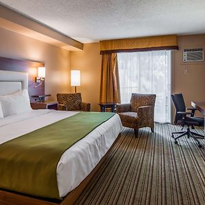 Executive King Room